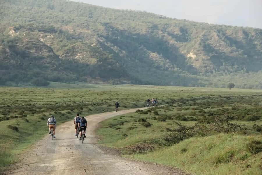 From Nairobi: Day Trip to Lake Naivasha and Hell's Gate - Price and Logistics: Is $80 Good Value Here?