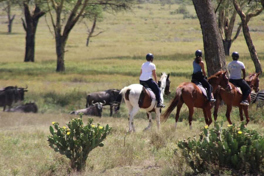 From Nairobi: Horseback Wildlife Safari with Transfer & Meal - From Nairobi to Central Kenya: how this day trip really works