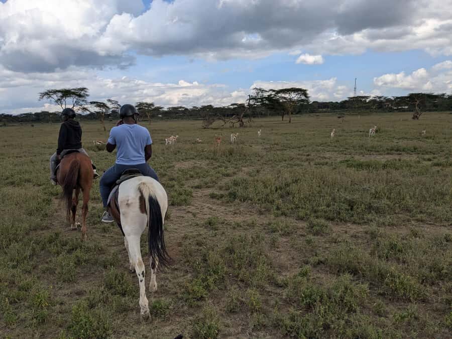 From Nairobi: Horseback Wildlife Safari with Transfer & Meal - The transfer and arrival: the part people underestimate