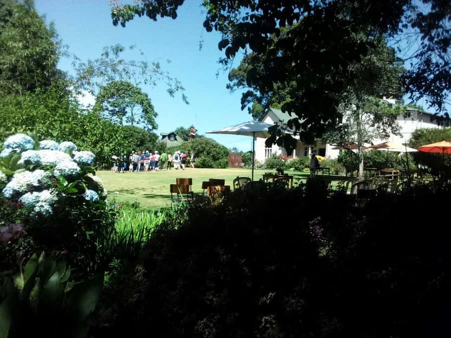 From Nairobi: Kiambethu Tea Farm Tour & Lunch - Who this tour is for (and who might want something else)