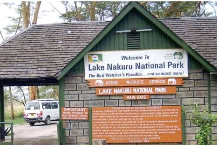 From Nairobi: Lake Nakuru National Park Full-Day Tour - Lake Nakuru from Nairobi: why this day trip works