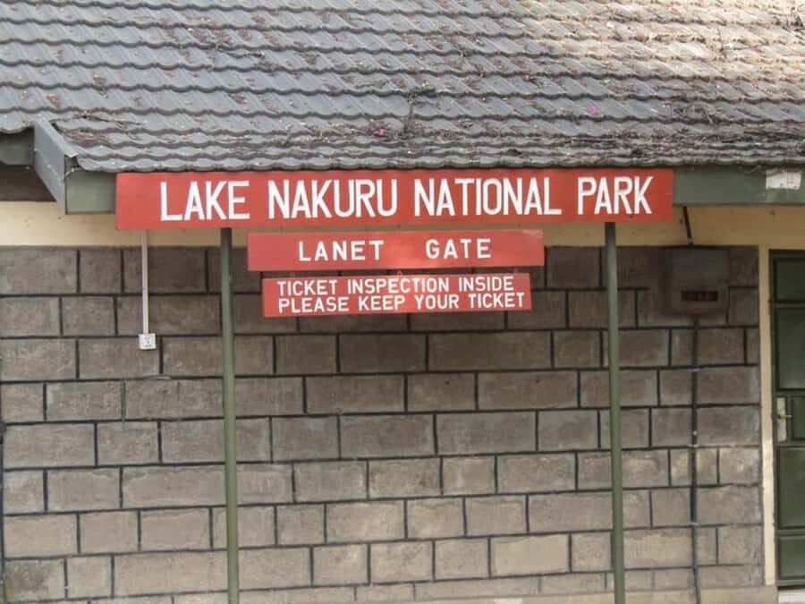 From Nairobi: Lake Nakuru National Park Full-Day Tour - Lions, leopards, hippos, and the rest of the safari checklist