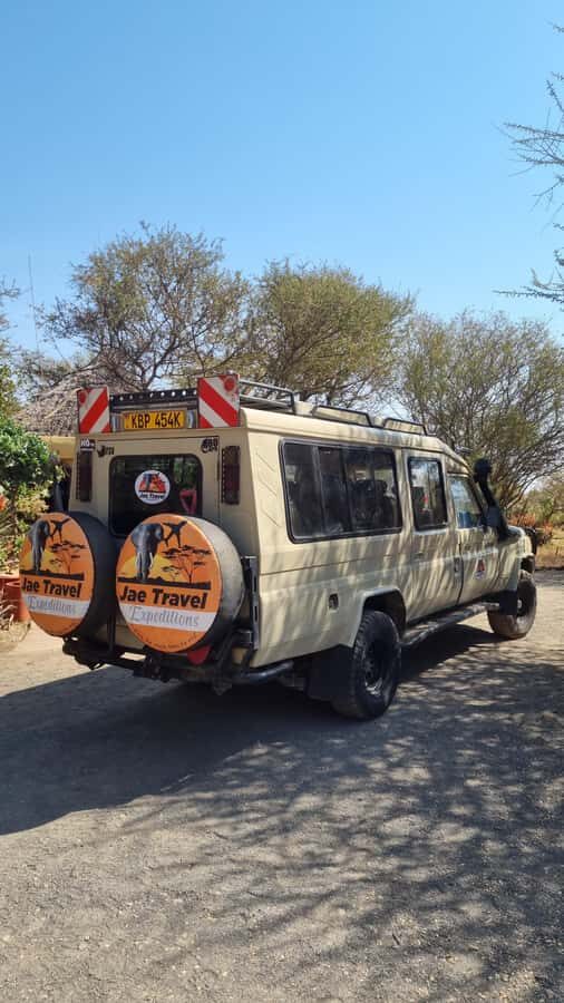 From Nairobi: Maasai Mara 1-Day Safari: AW, Lunch & Pickup - Key Things You’ll Notice on This Maasai Mara Day Trip