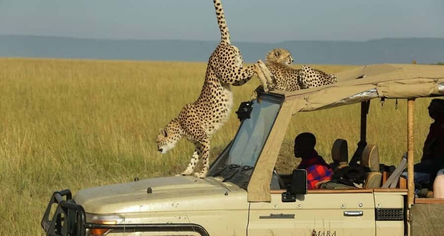 From Nairobi: Masai Mara 3-day Camping Safari by Jeep - From Nairobi to Maasai Mara: Great Valley Viewpoint and First Game Drive