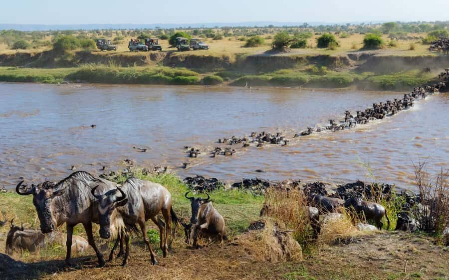 From Nairobi: Masai Mara 3-day Camping Safari by Jeep - Should You Book This Masai Mara 3-Day Camping Safari?