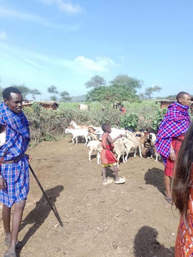 From Nairobi: Masai Tribe Village Visit - Should You Book This Nairobi-to-Maasai Village Visit?
