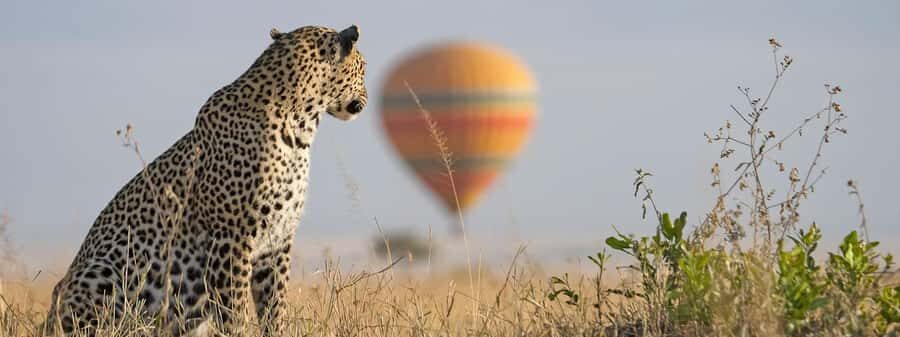 From Nairobi:3-Days 2-Nights Maasai Mara Group Safari in 4WD - First Glance at Value: $230 vs Your Real Safari Total