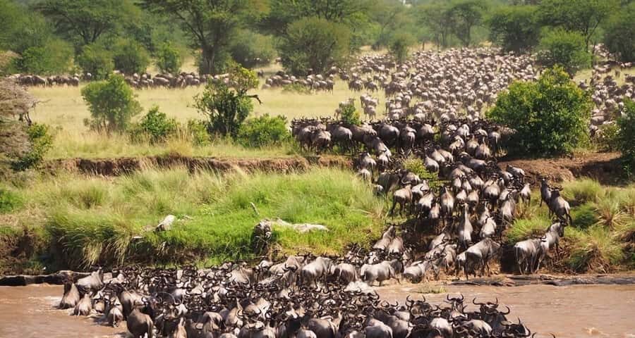 From Nairobi:3-Days 2-Nights Maasai Mara Group Safari in 4WD - Nairobi Pickup and the Rift Valley View Stop