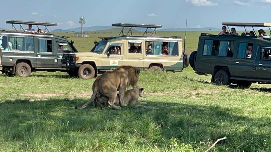 From Nairobi:3-Days 2-Nights Maasai Mara Group Safari in 4WD - 4WD Open-Roof Vehicle: Great for Photos, Hold On