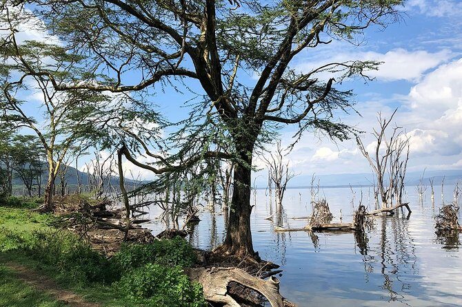 Full-Day Lake Nakuru National Park from Nairobi - Lunch at the lodge: fuel up without losing the rhythm