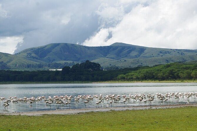 Full-Day Lake Nakuru National Park Private Tour from Nairobi - Rift Valley + Naivasha in the Same Day: Short Trip, Clear Purpose