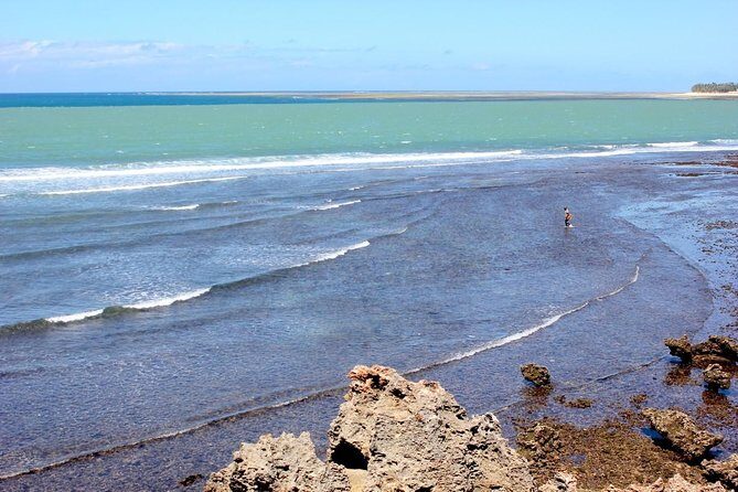 Full Day Mombasa Excursion Tour - Fort Jesus Museum: your starting point for understanding the coast