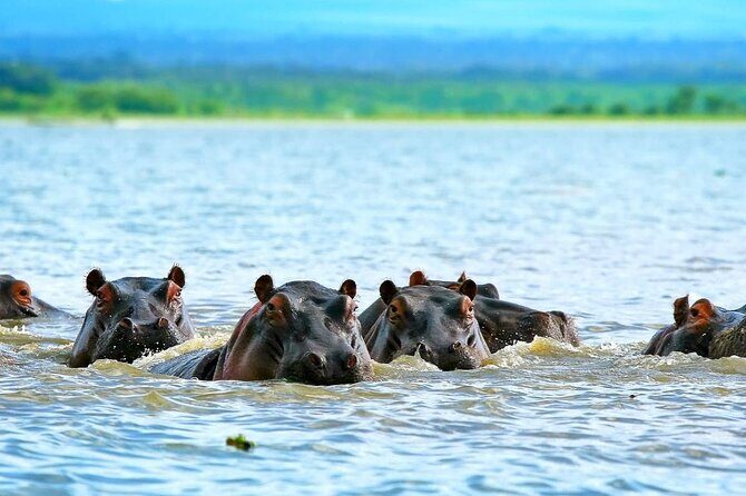 Full day private tour to Hells Gate National park from Nairobi. - Rift Valley scenery meets volcanic rock: Fishers Towers and obsidian