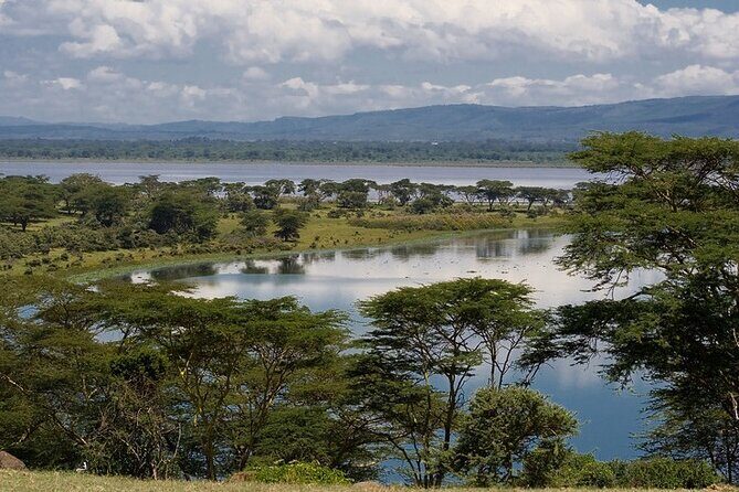 Full day private tour to Hells Gate National park from Nairobi. - Price and value: what you’re really paying for at $80