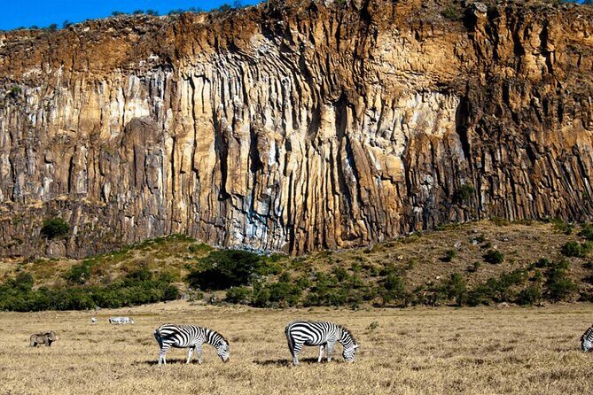 Full day private tour to Hells Gate National park from Nairobi. - Who this tour suits (and who should rethink it)