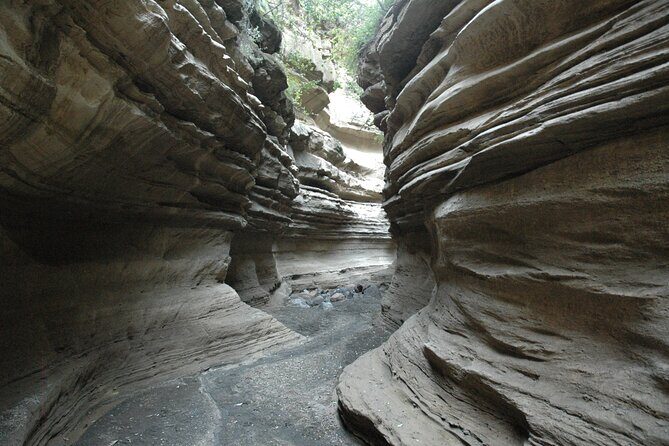 Full day private tour to Hells Gate National park from Nairobi. - Walking the Hell’s Gate gorges: hot springs, the Hell Channel, and real wildlife odds