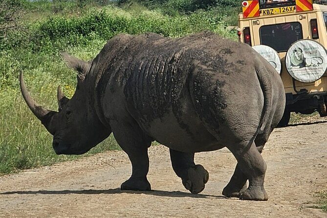 Full Day Tour in Amboseli National Park from Nairobi - The road trip stops: Emali’s viewpoint and savanna driving