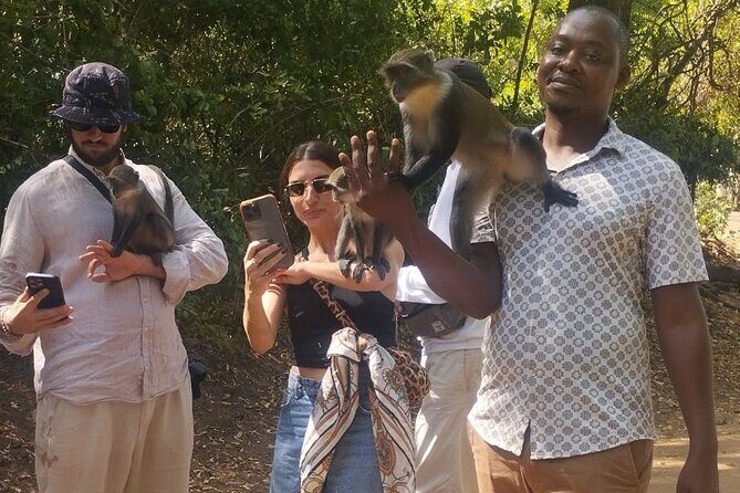 Gede Ruins & Malindi Tour - Key Highlights You’ll Feel Right Away