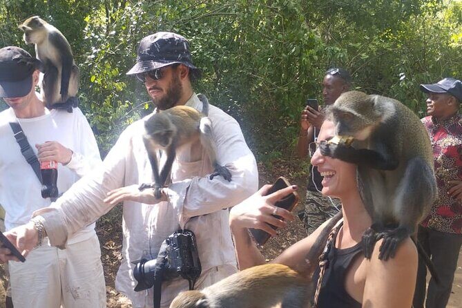 Gede Ruins & Malindi Tour - Price and What You Actually Get for $159 per Group