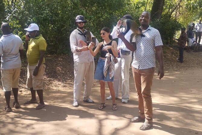 Gede Ruins & Malindi Tour - Timing, Weather, and How to Stay Comfortable