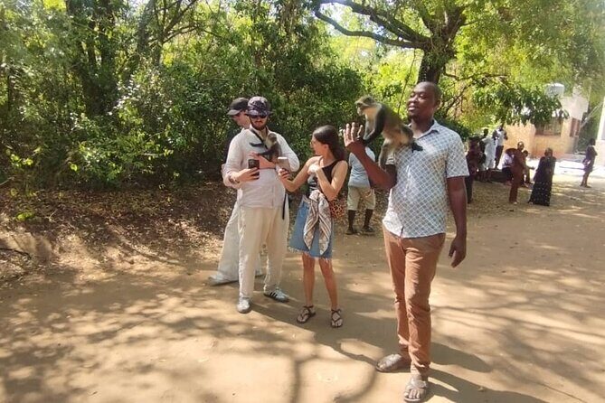 Gede Ruins & Malindi Tour - Who This Tour Suits Best