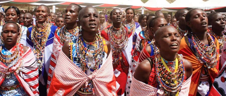 Giraffe Center, Elephant Orphanage and Bomas of Kenya Tour - Key highlights to know before you go