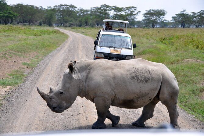 Giraffe Center, Elephant Orphanage and Nairobi National Park Day Tour Nairobi - Who This Tour Fits Best (and Who Might Prefer Something Else)
