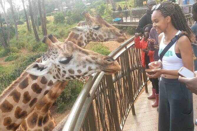 Giraffe Centre and Bomas of Kenya from Nairobi - Guide, group size, and the small comfort details that change the day