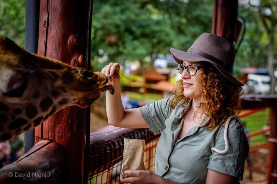 Giraffe, Elephant Orphanage - Rothschild’s giraffe center near Giraffe Manor: feeding and that huge kiss
