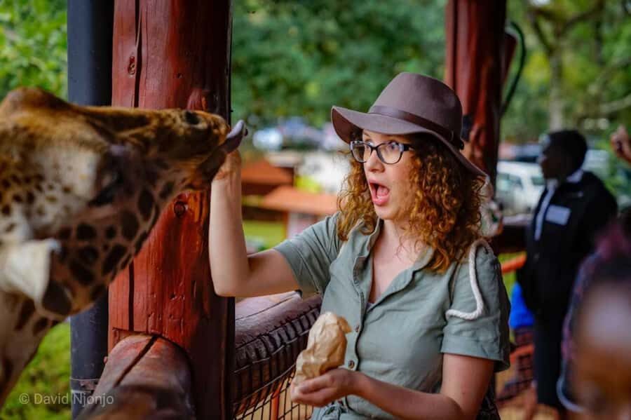 Giraffe, Elephant Orphanage - Should you book Perfect Wilderness Tours and Safari’s giraffe-elephant-Bomas day?