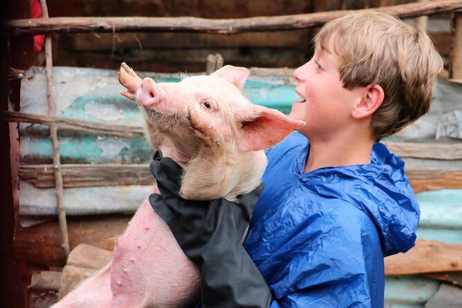 Go Granny Go - An Amazing Cultural Tour in Kenya - Price and Timing: What You’re Paying for in 6.5 Hours