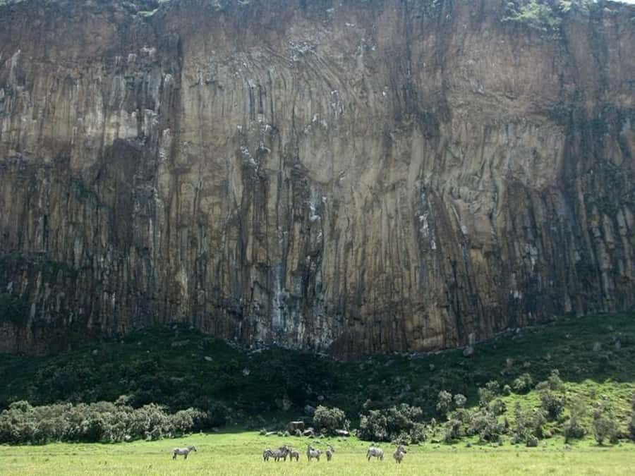 Group joining day tour to Hell's Gate and Lake Naivasha - Lake Naivasha: A Peaceful Boat Ride with Hippos and Birds