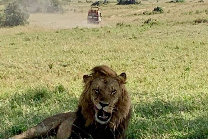 Group Joining Nairobi National Park and Giraffe Center - Who should book this Nairobi National Park and Giraffe Centre tour