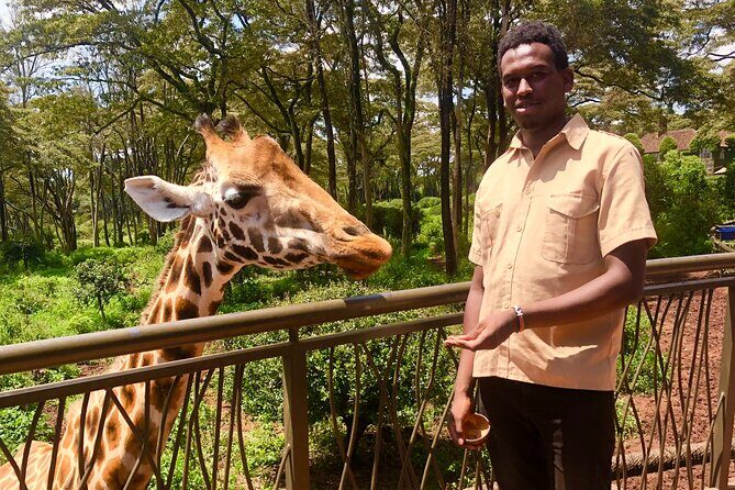 Half Day Excursion Tour in Nairobi - Pickup, Vehicle Comfort, and the 8:30am Start