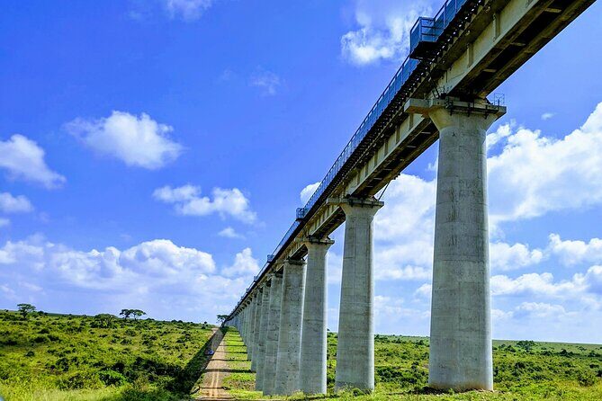 Half Day Nairobi National park - The Big Wins You’ll Feel on the Ground
