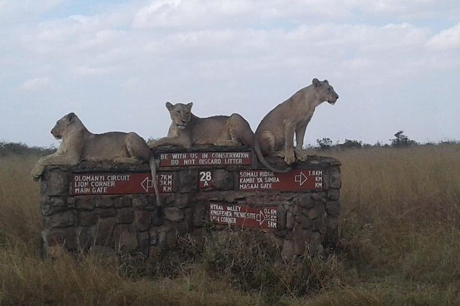 Half Day Nairobi National park - Price and What It Really Buys at $290
