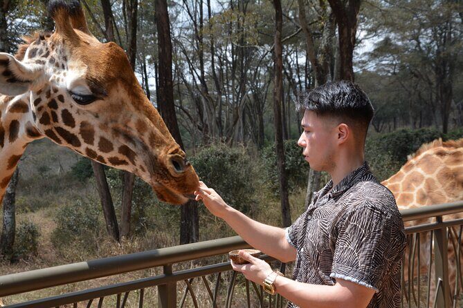 Half-Day Nairobi National Park and Maasai Market with Pick up - Should you book this half-day Nairobi National Park and Maasai Market tour?