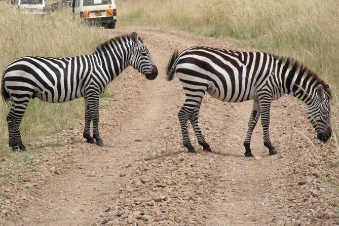 Half-Day Nairobi National Park Tour from Nairobi - Quick Hits You’ll Care About