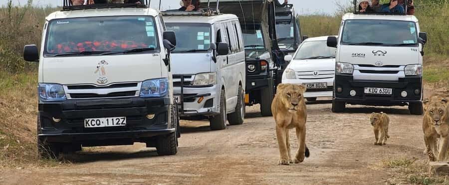 Half day Nairobi National Park with free pick up - Pickup, timing, and the drive that sets expectations