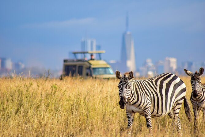 Half Day Nairobi National park - Nairobi National Park: What You’re Actually Watching For