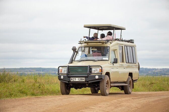 Half-Day Private Guided Safari Tour to Nairobi National Park - The 4x4 game drive: what you’ll actually experience