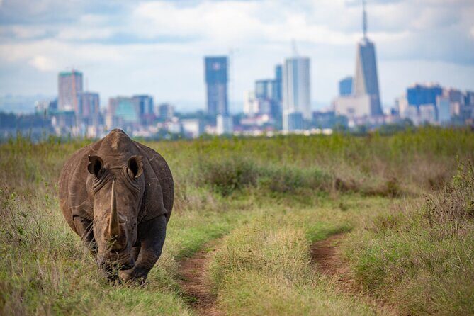 Half Day Safari at Nairobi National Park - The guide makes the difference: Tony and Anthony on the ground