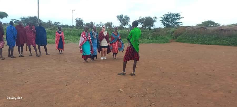 HALF DAY TOUR MASAI VILLAGE FROM NAIROBI WITH PICKUP&DROPOFF - Bisil manyatta walk: huts, cattle life, and guided context