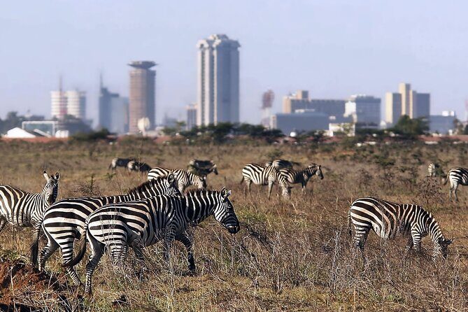 Half Day Tour To Nairobi National Park and Giraffe Center - Why Nairobi National Park + Giraffe Centre Works in 4 Hours