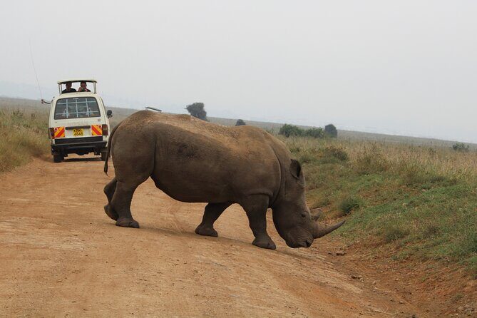Half Day Tour To Nairobi National Park and Giraffe Center - Who This Half-Day Safari Is Best For