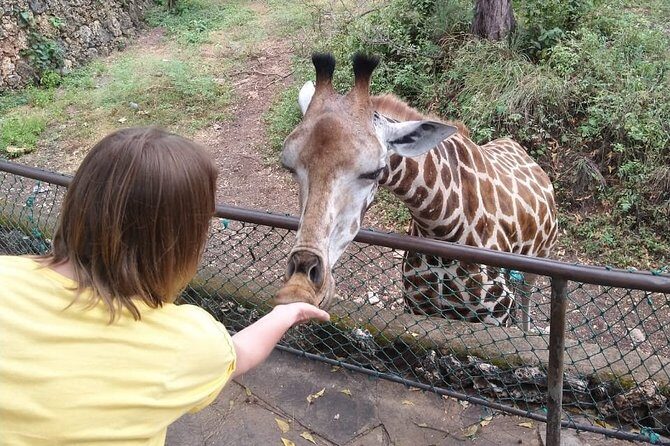 Haller Park Tour observing hippos, giraffes, birds, monkeys, crocs & others - Why Haller Park Fits Well in Mombasa