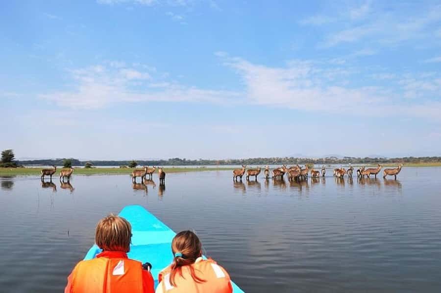 HELL'S GATE AND LAKE NAIVASHA BOAT RIDE FROM NAIROBI. - Should You Book This Hell’s Gate and Lake Naivasha Day Trip?