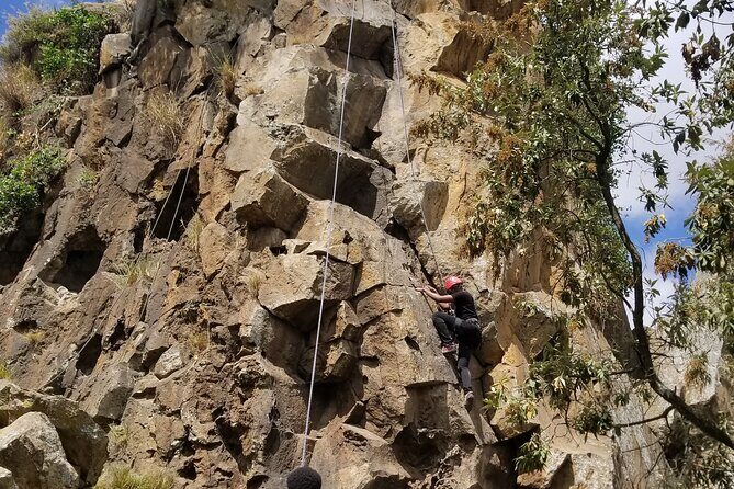 Hells Gate and Lake Naivasha Full Day Adventure - Why Hell’s Gate feels different than the usual safari