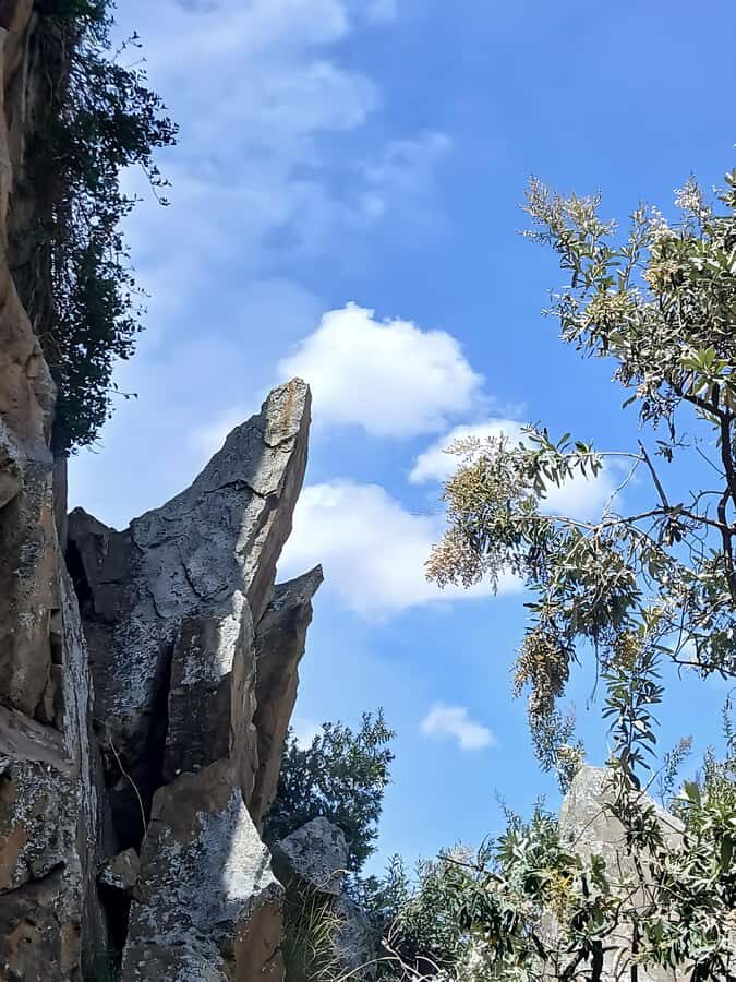 Hell's Gate Bike Ride & Crescent Island Boat Ride Experience - Nairobi Pickup and the Great Rift Valley Viewpoint Break