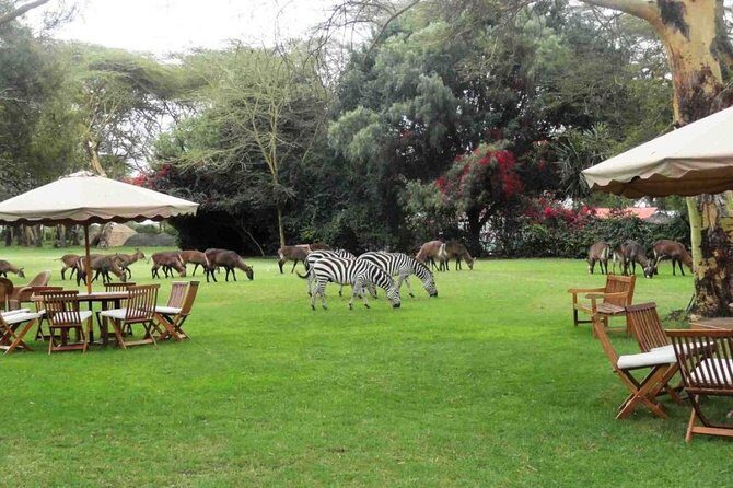 Hells Gate Excursion in Naivasha - Lake Naivasha time: hippos, eagles, and the Crescent Island vibe